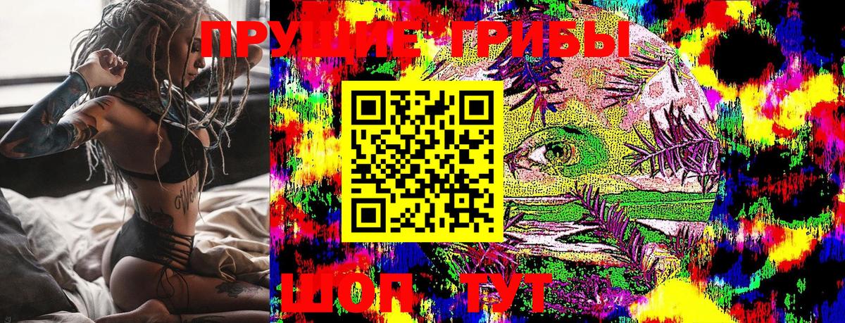 Обнинск  Псилоцибиновые грибы GOLDEN TEACHER  Псилоцибиновые грибы GOLDEN TEACHER  Вход с VPN 